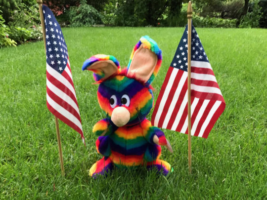 Rainbow Rabbit on Memorial Day Weekend