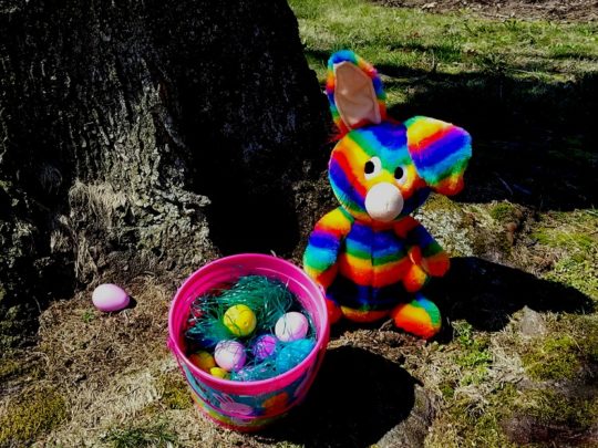 Rainbow Rabbit enjoys Easter 2018