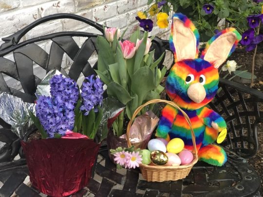 Rainbow Rabbit Easter 2019!