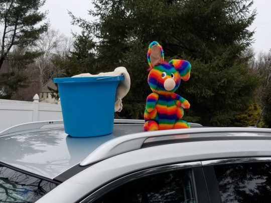Rainbow Rabbit celebrates Random Acts Of Kindness Week